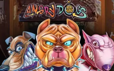 Angry Dogs