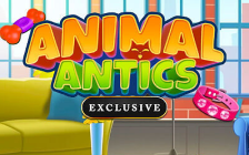 Animal Antics