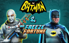 Batman & Mr Freeze Fortune
