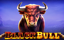 Black Bull