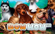 Bow Wow