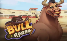 Bull in a Rodeo