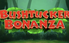 Bushtucker Bonanza