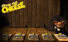 Chase The Cheese