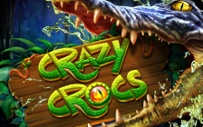 Crazy Crocs