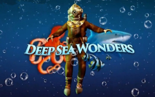 Deep Sea Wonders