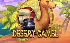 Desert Camel