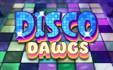 Disco Dawgs