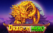 Dragon Hero