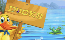 Ducks