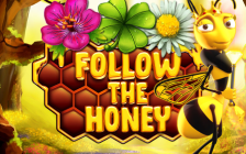 Follow The Honey