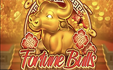 Fortune Bulls