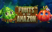 Fruits of the Amazon
