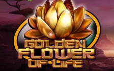 Golden Flower of Life