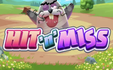Hit N Miss