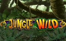 Jungle wild