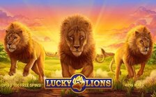Lucky Lions