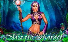 Magic forest