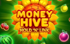 Money Hive Hold 'N' Link