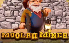 Moolah Miner