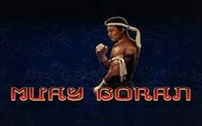 Muay Boran