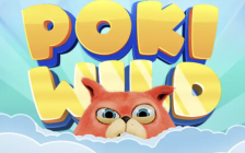 Poki Wild
