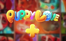 Puppy Love