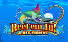 Reel Em In! A bit Fishy!
