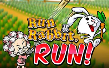 Run Rabbit, Run!