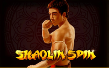 Shaolin Spin