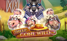 Sheep Gone Wild