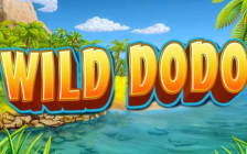 Wild Dodo