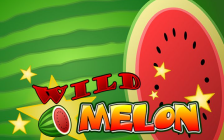 Wild Melon