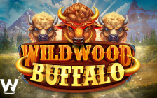 Wild Wood Buffalo