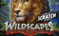 Wildscapes