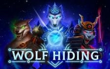 Wolf Hiding