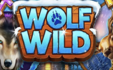 Wolf Wild