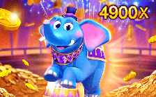 Wonder Elephant