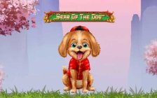 Year of the Dog